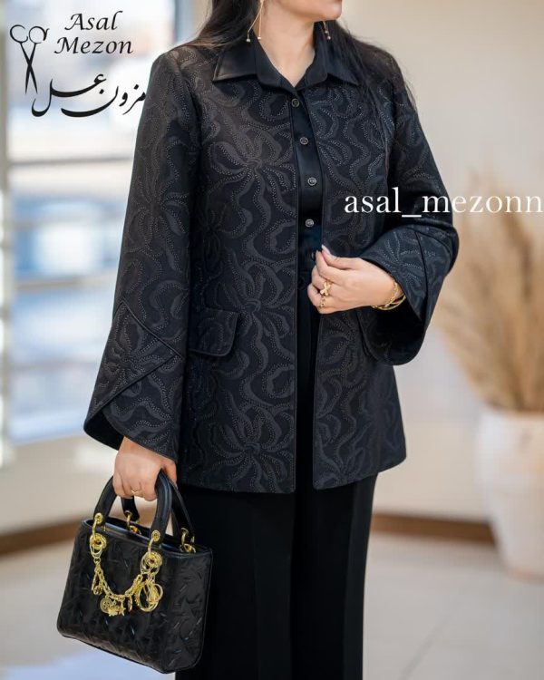 دلوین - تصویر 3