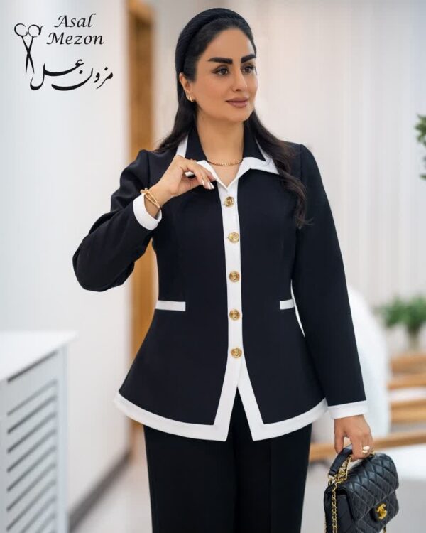 دیبا - تصویر 2